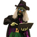 HHWITCH-23FLSA Holiday/Halloween/Halloween Indoor Decor
