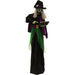 HHWITCH-23FLSA Holiday/Halloween/Halloween Indoor Decor