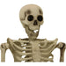 HHSKEL-8HA Holiday/Halloween/Halloween Indoor Decor