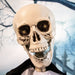 HHRPR-1FL Holiday/Halloween/Halloween Indoor Decor