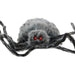 HHSPD-11H Holiday/Halloween/Halloween Indoor Decor