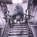 HHSPD-11H Holiday/Halloween/Halloween Indoor Decor