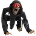 HHDOG-1FLSA Holiday/Halloween/Halloween Indoor Decor