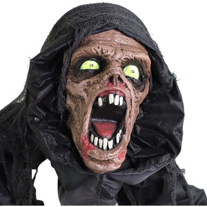 HHDOG-1FLSA Holiday/Halloween/Halloween Indoor Decor