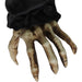 HHDOG-1FLSA Holiday/Halloween/Halloween Indoor Decor
