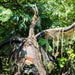 HHTREE-4FLSA Holiday/Halloween/Halloween Indoor Decor