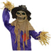 HHSCR-5FLS Holiday/Halloween/Halloween Indoor Decor