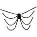 HHSPD-6H Holiday/Halloween/Halloween Indoor Decor