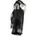 HHWITCH-4FLSA Holiday/Halloween/Halloween Indoor Decor