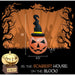 HHFINPUMP010-2L Holiday/Halloween/Halloween Indoor Decor