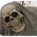 HHSNSKEL-HLSA Holiday/Halloween/Halloween Indoor Decor