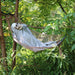 HHSNSKEL-HLSA Holiday/Halloween/Halloween Indoor Decor