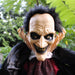 HHVAMP-2FLSA Holiday/Halloween/Halloween Indoor Decor