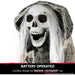 HHSKEL-1FLSA Holiday/Halloween/Halloween Indoor Decor