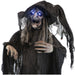 HHWITCH-20FLSA Holiday/Halloween/Halloween Indoor Decor