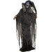 HHWITCH-20FLSA Holiday/Halloween/Halloween Indoor Decor