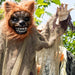 HHWOLF-3FLSA Holiday/Halloween/Halloween Indoor Decor