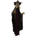 HHWITCH-27FLSA Holiday/Halloween/Halloween Indoor Decor