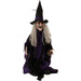 HHMNWTC-1FLSA Holiday/Halloween/Halloween Indoor Decor