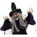 HHMNWTC-1FLSA Holiday/Halloween/Halloween Indoor Decor