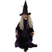HHMNWTC-1FLSA Holiday/Halloween/Halloween Indoor Decor
