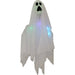 HHGHST-10HLS Holiday/Halloween/Halloween Indoor Decor