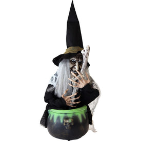 17.3" Animated Witch and Cauldron