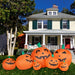 HIPMPKNFM101-L Holiday/Halloween/Halloween Indoor Decor