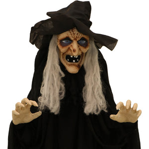 HHWITCH-22FLSA Holiday/Halloween/Halloween Indoor Decor