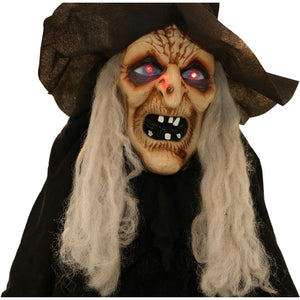 HHWITCH-22FLSA Holiday/Halloween/Halloween Indoor Decor