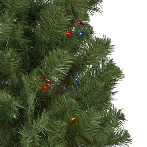 32915597-GREEN Holiday/Christmas/Christmas Trees