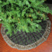 32913567-GREEN Holiday/Christmas/Christmas Stockings & Tree Skirts