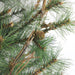 32266094-GREEN Holiday/Christmas/Christmas Trees