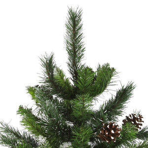 32607703-GREEN Holiday/Christmas/Christmas Trees