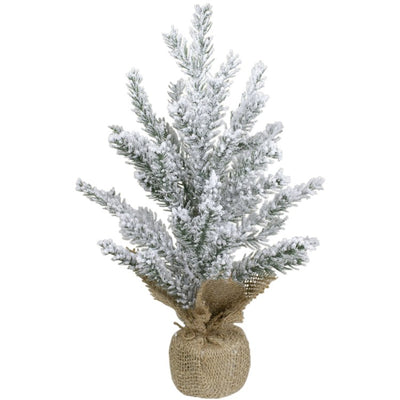 Product Image: 34316715-MULTI-COLORED Holiday/Christmas/Christmas Trees