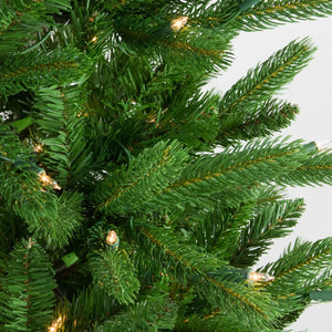 32915599-GREEN Holiday/Christmas/Christmas Trees