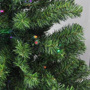 32913227-GREEN Holiday/Christmas/Christmas Trees