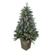 34723571-GREEN Holiday/Christmas/Christmas Trees