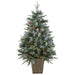 34723571-GREEN Holiday/Christmas/Christmas Trees