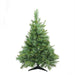 32265445-GREEN Holiday/Christmas/Christmas Trees