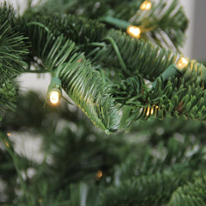 32275059-GREEN Holiday/Christmas/Christmas Trees