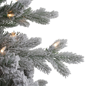 34723574-GREEN Holiday/Christmas/Christmas Trees