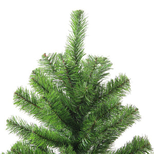 32618578-GREEN Holiday/Christmas/Christmas Trees