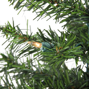 32913215-GREEN Holiday/Christmas/Christmas Trees