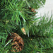 32266797-GREEN Holiday/Christmas/Christmas Trees