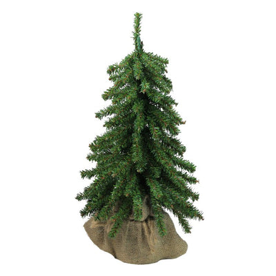 32913324-GREEN Holiday/Christmas/Christmas Trees