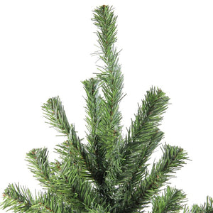 32623759-GREEN Holiday/Christmas/Christmas Trees