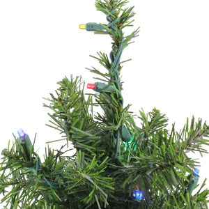 32913217-GREEN Holiday/Christmas/Christmas Trees