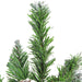 32614951-GREEN Holiday/Christmas/Christmas Trees