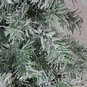 32915358-GREEN Holiday/Christmas/Christmas Trees